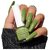 Nail Polish Groovy Olive - Olive Green Long-Lasting High-Shine Finish | Chip-Resistant and Quick-Drying Formula | Vegan and 12-Free Nail Paint For Women Professional-Quality Manicure 5ml