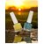Nail Polish Set for Women  Long-Lasting High Shine Nail Paint Combo  Vegan and Cruelty-Free  3 Bright Vibrant Shades  Quick Dry Nail Polish Set (Mango Bliss Pack of 2)