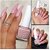 Nail Polish Set for Women  12-Free Vegan Cruelty-Free Quick Dry Long Lasting High Gloss Chip Resistant  Nail Paint Combo Set for Women  Set of 5 Timeless Nude Collection