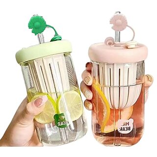 Glass Fruit Infuser Bottle with Straw  2-in-1 Manual Juicer  Portable Detox Water Tumbler (Eco-Friendly)