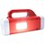 Solar Universe India 3W Red Two Way Solar LED Torch