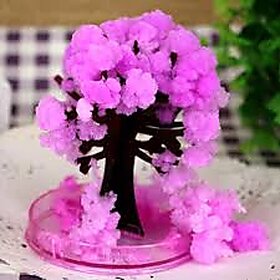Multicolor Magic Sakura Tree Enchanting Decorative Cherry Blossom  (Multi Colours)