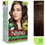 Nisha Creme Hair Color With Natural Henna Extract,100 Grey Coverage Hair Colour ( Dark Brown - 30g+30ml)