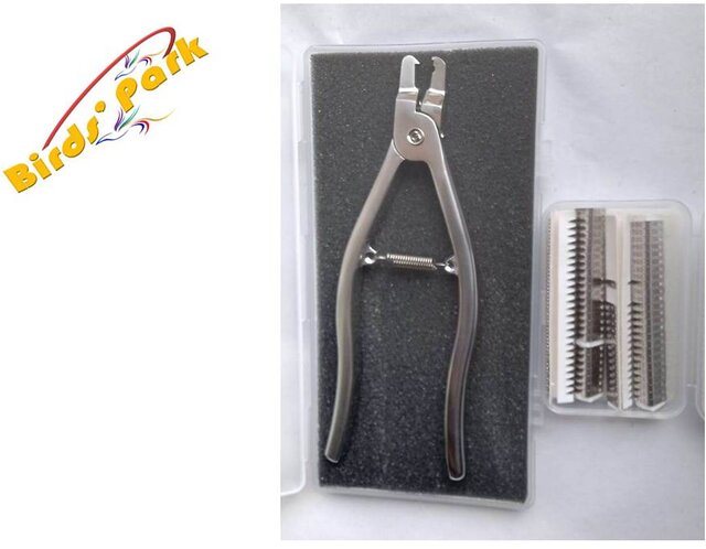 Buy Mice Rat Applicator with 100pcs ear tag(Self-Piercing Ear Tags ...