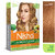 Nisha Creme Hair Color for Women - Honey Blonde, 20g+20ml Box, Long-lasting, 100 Grey Coverage (Pack OF 6)
