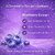 (Pack of 2) Broer Pure Splash Blueberry Body Wash for Fresh Soft Smooth Hydrated Skin Shower Gel (400 ml)