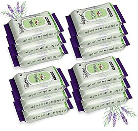 Wipe ME 100% Biodegradable 576 Count (Pack of 12) Wet Wipes for Dogs Cats & All Pets | Lavender Essential Vitamin E & Olive Oil | Anti-Bacterial | Cleansing Deodorising & Grooming Wipes