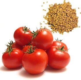 60 PICS HYBRID VEGETABLE TOMATO SEEDS