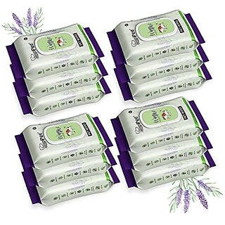 Wipe ME 100% Biodegradable 576 Count (Pack of 12) Wet Wipes for Dogs Cats & All Pets | Lavender Essential Vitamin E & Olive Oil | Anti-Bacterial | Cleansing Deodorising & Grooming Wipes