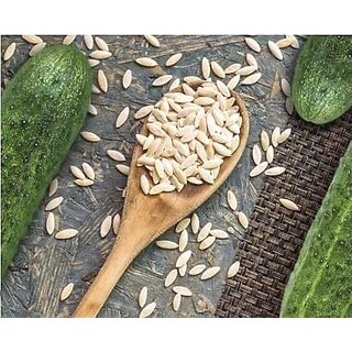 Fresh Cucumber Seeds for Home Garden - Pack of 35 Seeds