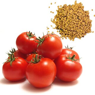 60 PICS HYBRID VEGETABLE TOMATO SEEDS