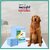 Incofit Pet Training Pads 60 X 45 cm 20 Counts with Leak-Proof Quick-Dry Design 5 Layered Leak Proof Potty  Peeing Toilet Trainer Non Slippery