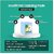 Incofit Pet Training Pads 60 X 60 cm 20 Counts with Leak-Proof Quick-Dry Design 5 Layered Leak Proof Potty  Peeing Toilet Trainer Non Slippery