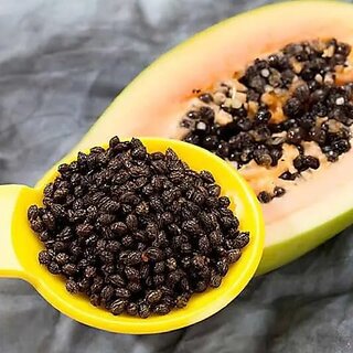Hybrid Papaya Seeds for Home Garden, Nursery and Farm Plantation, Pack of 30 Seeds