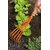 Hand Garden Cultivator with Wooden Handle / 37.5x12x4 cm, 453 gm, 1 Qty