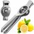 BIYANKA Pure Stainless Steel Lemon Squeezer Hand Juicer (Silver) - Pack of 1