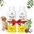 Greenblsum Anti-Tick  Flea Neem Dog Shampoo - 200ml (Pack of 2) Combo