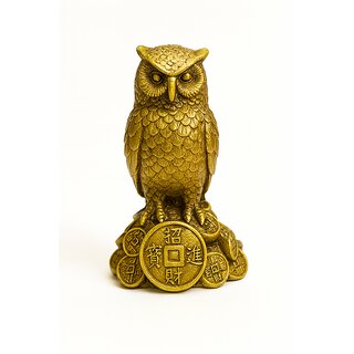 Nitin  Vastu Feng Shui Lakshmi Vahan Ullu