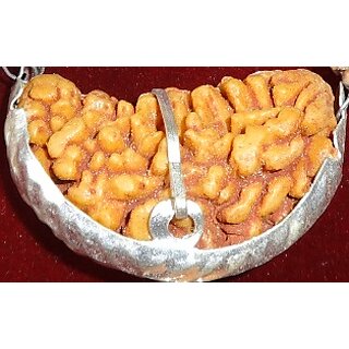 1 Mukhi Rudraksha