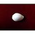 White Laxmi Cowry - 9 piece