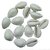 White Laxmi Cowry - 9 piece