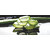 PuspitaNursery Aloe Vera Live Medicinal Plant Fresh  Healthy.