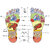 Acupressure Spring Action Massage Slippers Accu Paduka