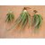 PuspitaNursery Alovera Live Medicinal Plant.