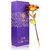 24K Golden Rose 10 Inches With Gift Box - Best Gift For Loves Ones, Valentine Day, Mother Day, Anniversary, Birthday