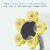 Nucleya Retail  Magic Suction Cup Flower Shape Mobile Phone Holder  // Multi Colour
