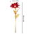 24K red Rose Flower Golden Dipped Valentine Day With Box Unique Gift/friendship day gift
