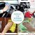 Microfiber Cloth 2 pcs 40x40 cms 340 GSM Multi-Color Multipurpose Cloths Microfiber Towels for Car Bike kitchen Cleaning