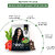 Nisha Natural Henna Based Hair Color Henna 10gm Each Pack Natural Black  (Pack of 10)