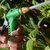 High-Pressure Garden Water Spray Gun Nozzle Adjustable Jet for Car, Bike & Home Cleaning