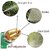 High-Pressure Garden Water Spray Gun Nozzle Adjustable Jet for Car, Bike & Home Cleaning