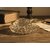 Crystal Turtle with Decorative Plate  Vastu  Feng Shui Showpiece