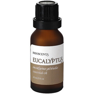 Indoscents Eucalyptus Globulus Essential Oil 20ml  Fresh Cooling Aromatherapy Oil for Diffusers  Home Fragrance
