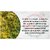 AmarBel 50g Dry Amar bel Akash Bel Swarn Lata Afteeyun Aftimoon Dodder Dry Cuscuta reflexa