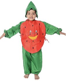 Litchi Fruit Red Fancy Dress Costume For Kids