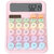 Patel 12-Digit Candy Color Desktop Calculator with Large LCD Display, Basic Electronic Office Calculator