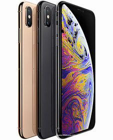 (Refurbished) Iphone XS Max (256 GB Storage) -Superb Condition, Like New
