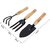 3-Piece Garden Hand Tool Set Mini Trowel, Transplanting Shovel Cultivator with Wooden Handles, Rust-Resistant Steel