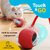 Interactive Smart Rolling LED Ball Toy for Cats, Automatic & USB Rechargeable Chase Ball with Speedy Tail Rope, Indoor Kitten Puppy- Pet Exercise, IQ Training, Fun & Engaging for Dogs & Cats