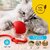 Interactive Smart Rolling LED Ball Toy for Cats, Automatic & USB Rechargeable Chase Ball with Speedy Tail Rope, Indoor Kitten Puppy- Pet Exercise, IQ Training, Fun & Engaging for Dogs & Cats