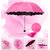 Magic Umbrella Water Reactive