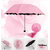 Magic Umbrella Water Reactive (light Pink)