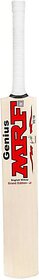 Cricket bat for kids