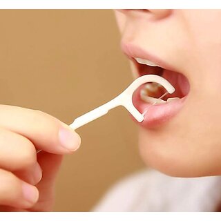 (Pack of 10) Dental Toothpick Flossers Toothpick Cleaners for Oral Care 