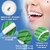 (Pack of 10) Dental Toothpick Flossers Toothpick Cleaners for Oral Care 