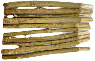 (Pack of 20) Sahada Tree Twigs  Natural Organic Sand Paper Tree Sticks/Siamese Rough Bush/Toothbrush Tree Twigs/Dantun Daant Sticks Chew Sticks for Brushing Teeth | Removes Bad Breath